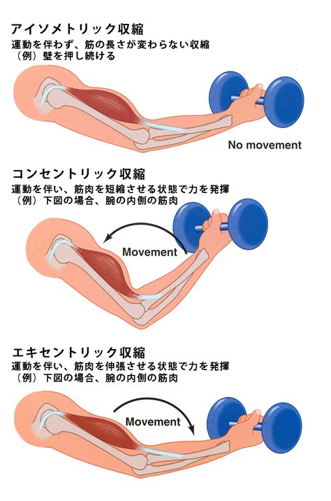 えっち筋肉|体位によって筋肉痛の場所が変わる？ラブタイムで筋力アップ！。